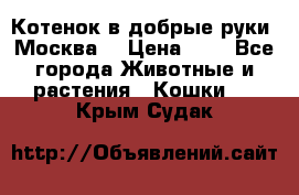 Котенок в добрые руки. Москва. › Цена ­ 5 - Все города Животные и растения » Кошки   . Крым,Судак